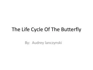 The Life Cycle Of The Butterfly