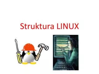 struktura linux