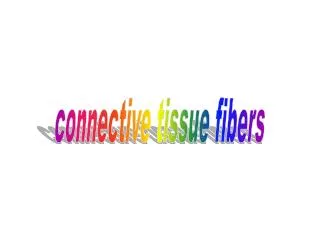 connective tissue fibers