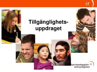 tillg nglighets uppdraget