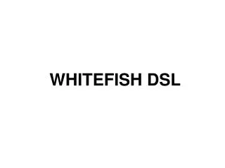 WHITEFISH DSL