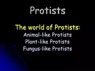 Protists