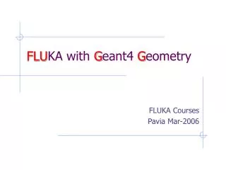 FLU KA with G eant4 G eometry