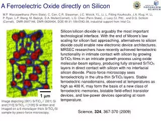 A Ferroelectric Oxide directly on Silicon