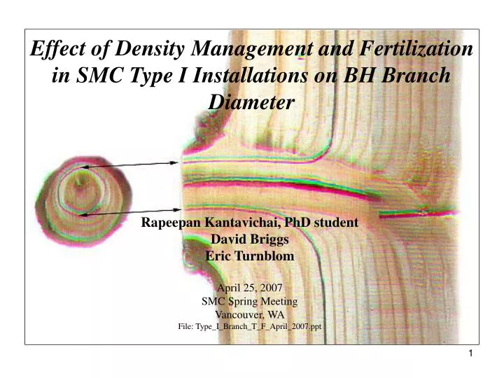 effect of density management and fertilization in smc type i installations on bh branch diameter
