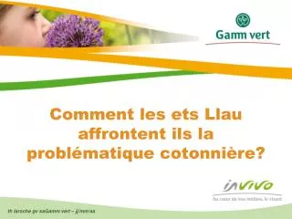 comment les ets llau affrontent ils la probl matique cotonni re