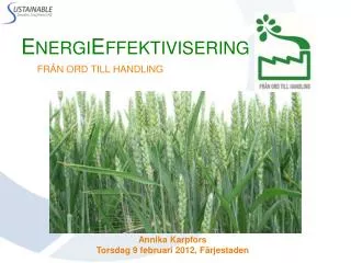 e nergi e ffektivisering