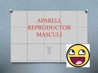 aparell reproductor masculi