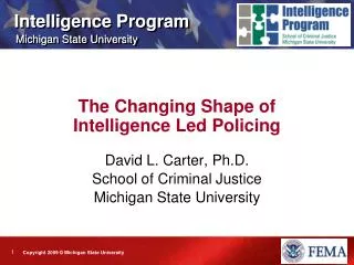 The Changing Shape of Intelligence Led Policing
