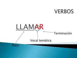 verbos