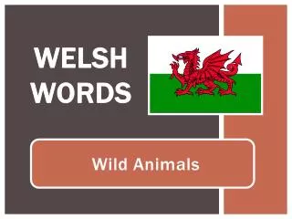 welsh words
