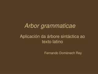 arbor grammaticae