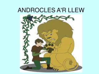androcles a r llew