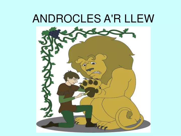 androcles a r llew