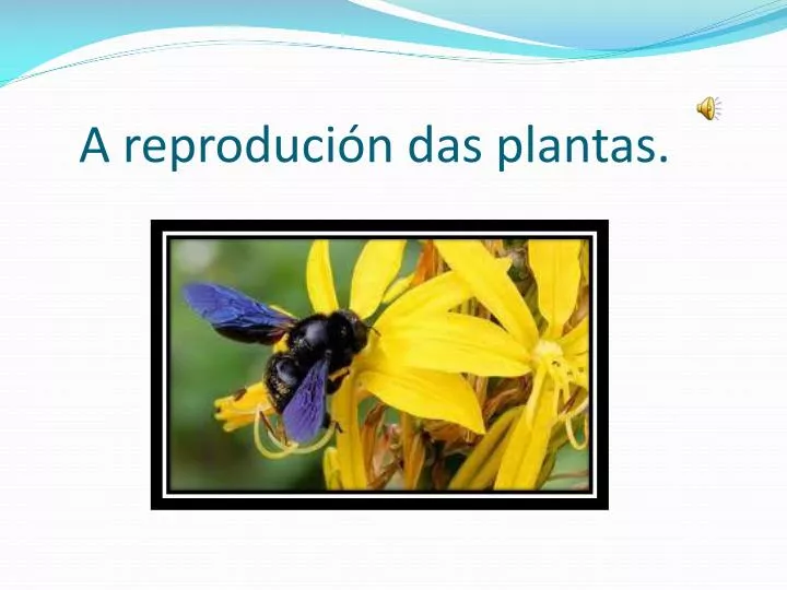 a reproduci n das plantas