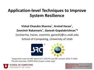 Application-level Techniques to Improve System Resilience