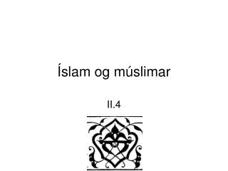 slam og m slimar