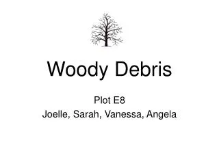 Woody Debris