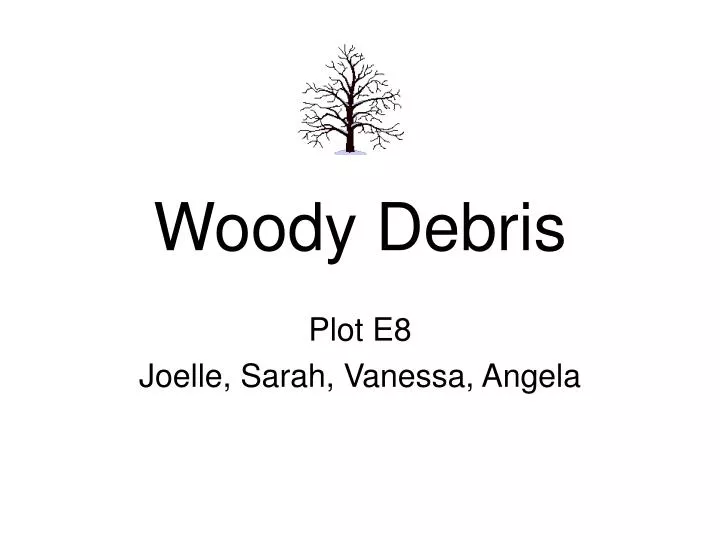 woody debris