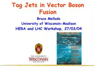 Tag Jets in Vector Boson Fusion