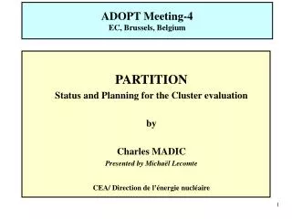 PARTITION Status and Planning for the Cluster evaluation by Charles MADIC