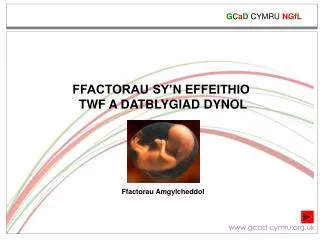 FFACTORAU SY’N EFFEITHIO TWF A DATBLYGIAD DYNOL