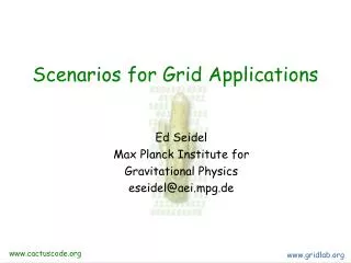 Scenarios for Grid Applications