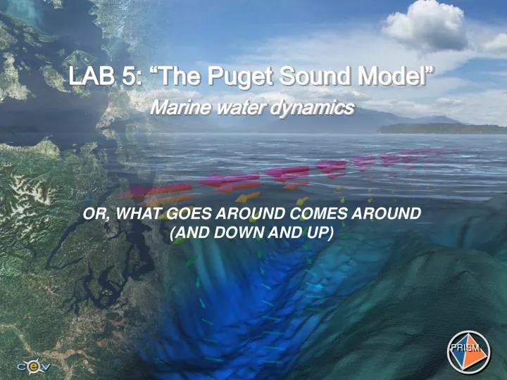 lab 5 the puget sound model marine water dynamics
