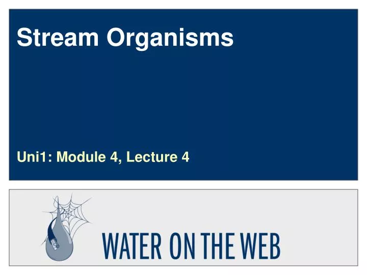 stream organisms