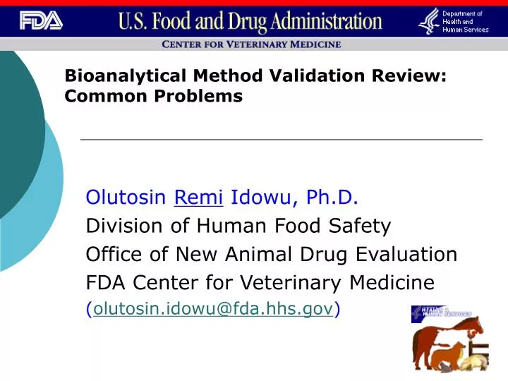 bioanalytical method validation review common problems