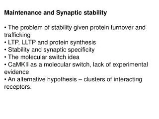 Maintenance and Synaptic stability