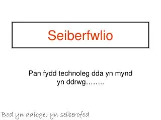 seiberfwlio