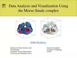 Data Analysis and Visualization Using the Morse-Smale complex