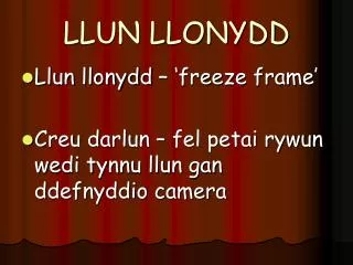 llun llonydd