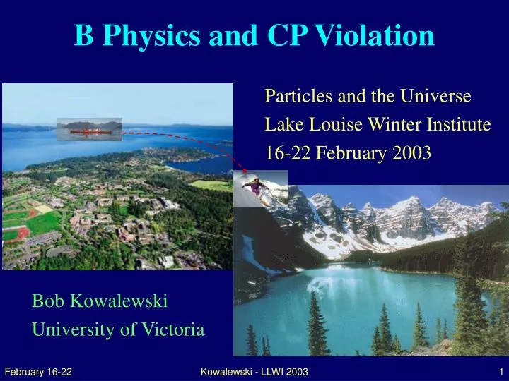 b physics and cp violation