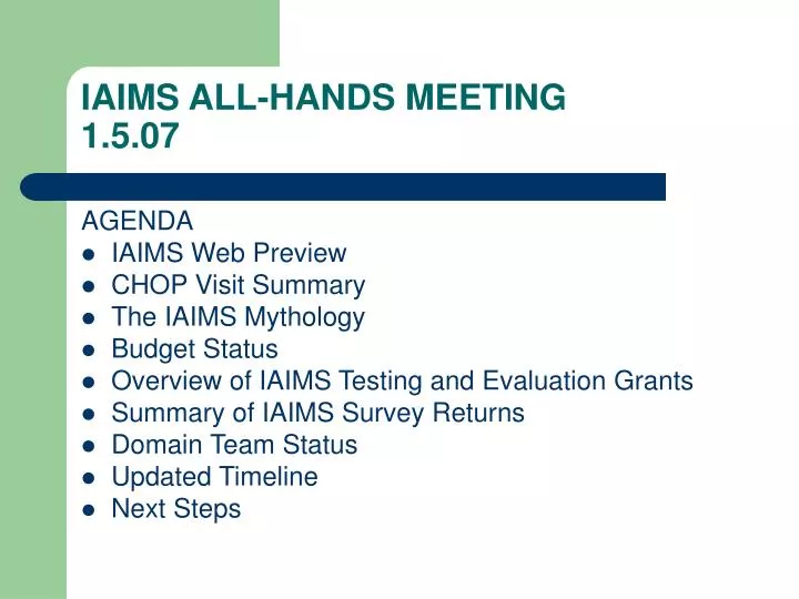iaims all hands meeting 1 5 07