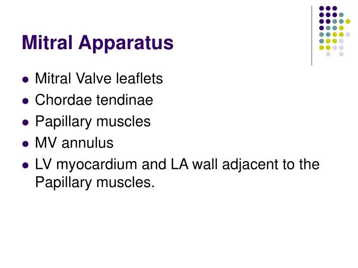 mitral apparatus