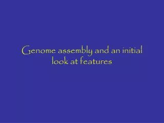 Genome assembly and an initial look at features