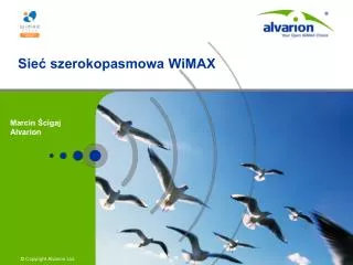 sie szerokopasmowa wimax