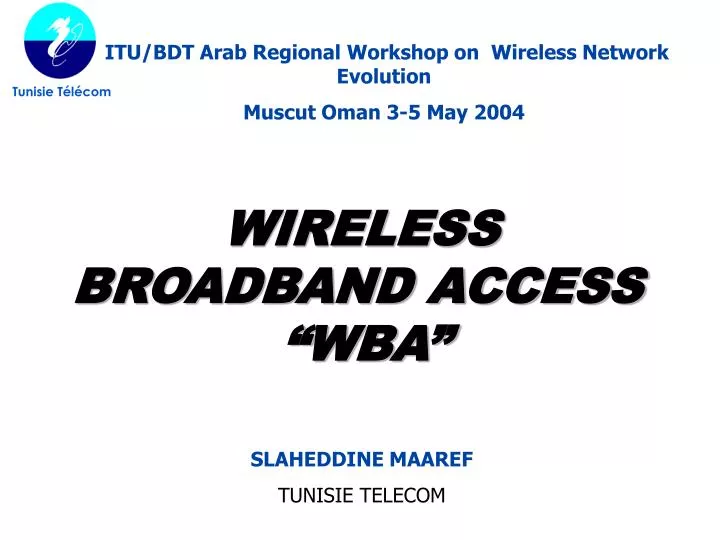 wireless broadband access wba