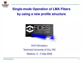 Single-mode Operation of LMA Fibers by using a new profile structure