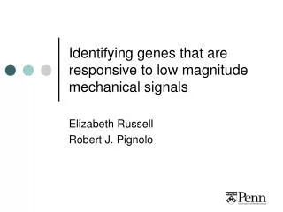 Identifying genes that are responsive to low magnitude mechanical signals
