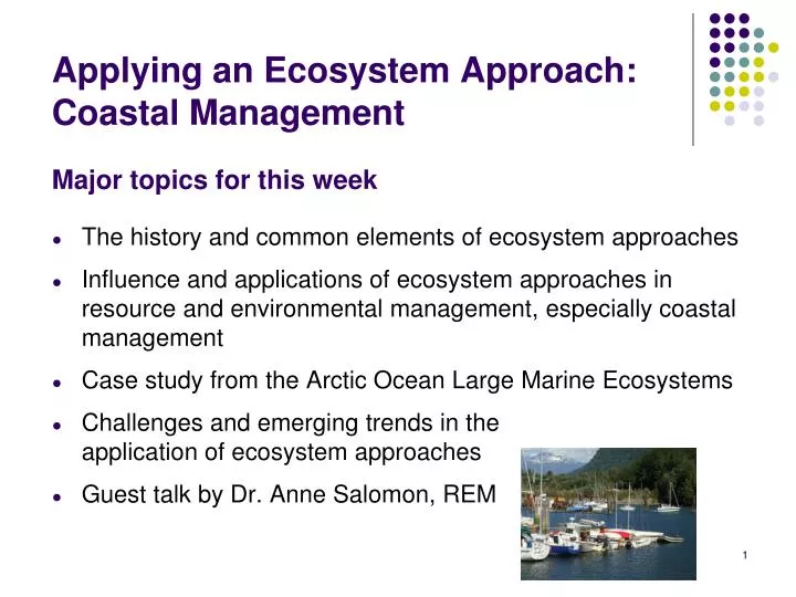 applying an ecosystem approach coastal management