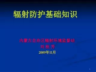 2009 11