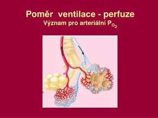 pom r ventilace perfuze v znam pro arteri ln p o 2