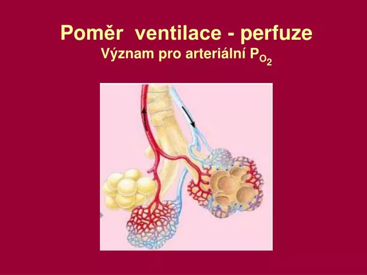 pom r ventilace perfuze v znam pro arteri ln p o 2