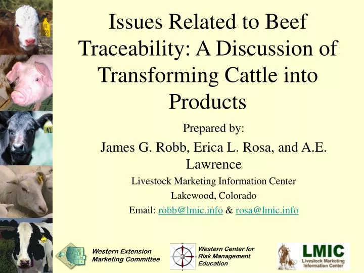 issues related to beef traceability a discussion of transforming cattle into products