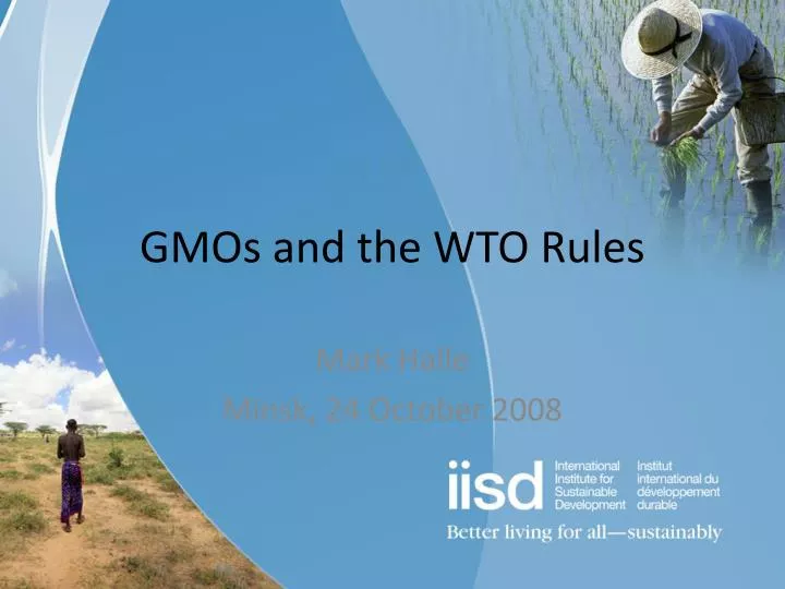 gmos and the wto rules