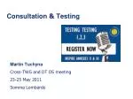 Consultation &amp; Testing - slide 1
