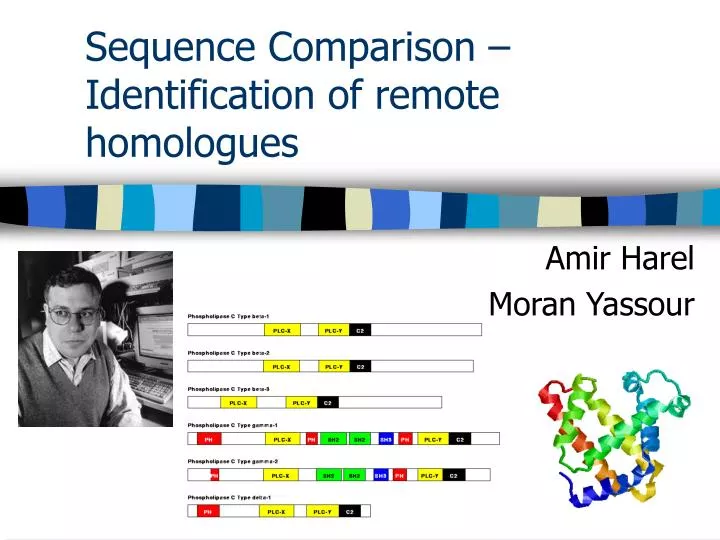 sequence comparison identification of remote homologues